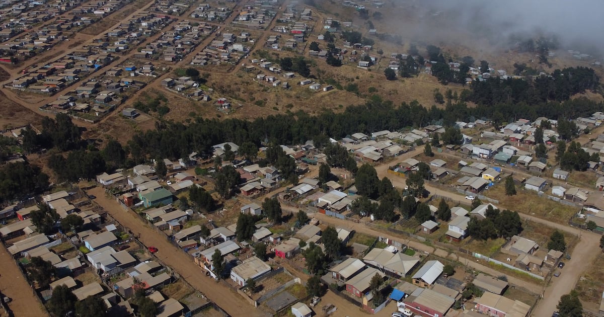 Gobierno inicia desalojo masivo de megatoma en cerro Centinela de San Antonio