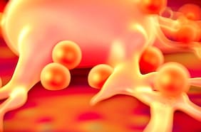 Científicos descubren nueva relación entre el cáncer, la obesidad y el sexo