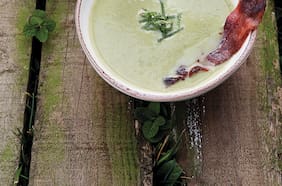 Velouté de arvejas con toque de menta y crocante de tocino acaramelado