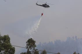 Valparaíso: realizan evacuaciones por incendios forestales en Nogales y El Tabo
