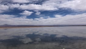 SQM provisionó casi US$ 50 millones para pagar dividendo extraordinario a Codelco