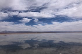 SQM provisionó casi US$ 50 millones para pagar dividendo extraordinario a Codelco