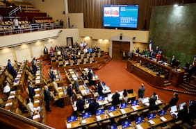 Quiénes son los 56 diputados que habrían perdido el cargo si la reforma política estuviera vigente