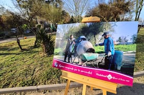 Presupuesto: gobierno detecta proyectos por $4,8 billones para acelerar la inversión pública en 2025