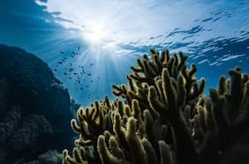 Maximiliano Bello: “Chile tiene la décima zona exclusiva más grande de océano en el planeta y es líder indiscutido en conservación”
