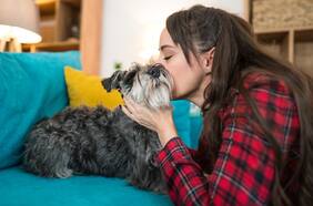 Avanza en comisión del Trabajo de la Cámara proyecto que otorga permiso laboral por muerte de mascota