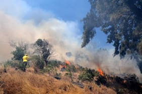 Actualización permanente: revisa los incendios forestales que afectan a las diferentes regiones del país