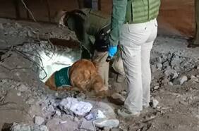 Encuentran bóveda debajo del mausoleo narco de Lo Espejo: se hallaron plásticos con restos de droga