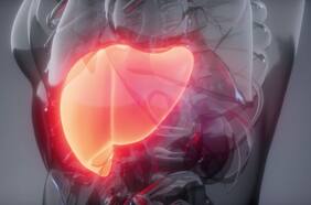 Columna del Dr. Luis Antonio Díaz: Día Mundial contra la Hepatitis