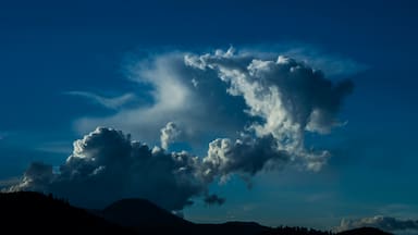 Decretan alerta temprana preventiva por precipitaciones en Los Rios