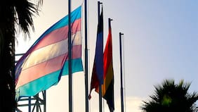 Suprema respalda facultad de Contraloría para exigir antecedentes sobre programa trans