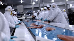 Corte Suprema falla a favor de Ewos y Mainstream y ratifica revés de exaccionistas de Cultivos Marinos Chiloé