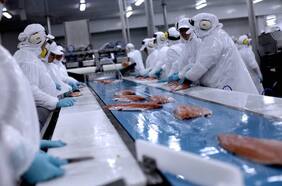 Cómo Cargill, un gigante global de los alimentos, negoció y selló su ingreso a Salmones Multiexport
