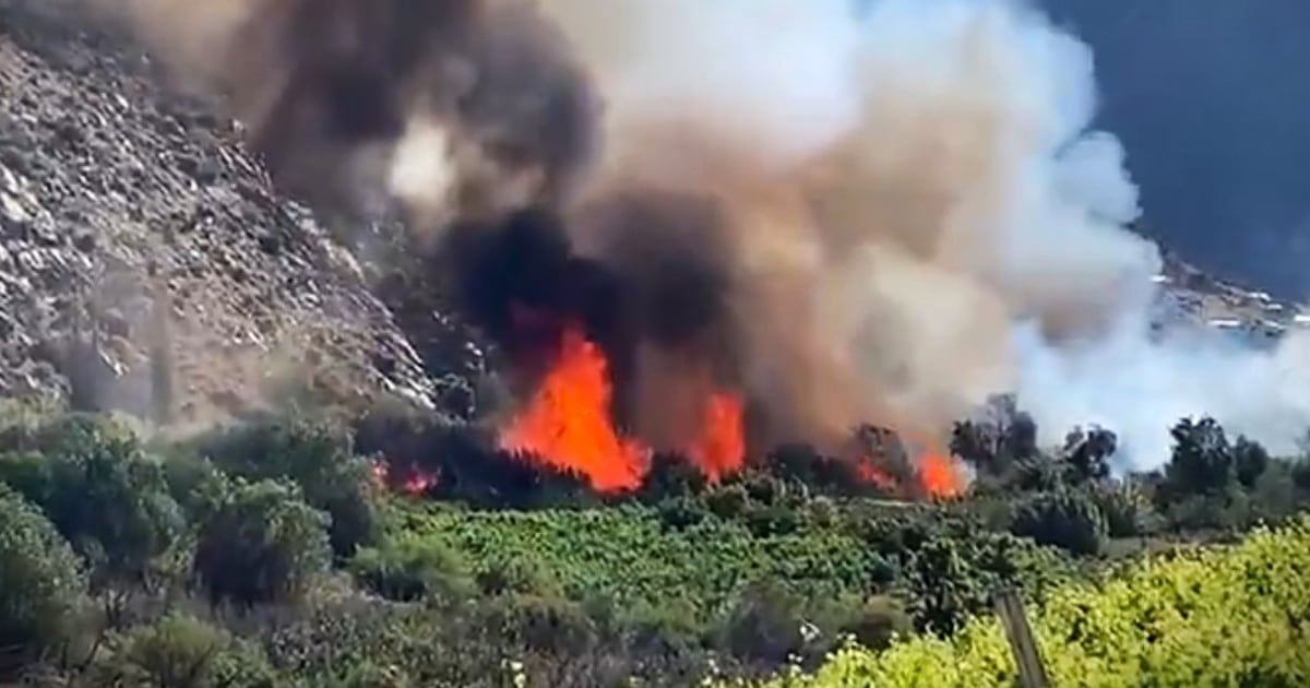 Llaman a evacuar sector de Monte Patria tras avance de incendio forestal