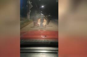 Paciente con cáncer terminal es trasladado por la calle en su camilla por falta de ambulancias en Vilcún