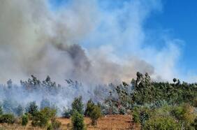 Tohá por incendios en la zona central: “Nos hemos preparado y aumentado los recursos disponibles”