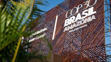 COP 30: Con pena y sin gloria, pero con algunos mensajes relevantes para Chile