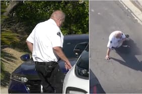 Viral muestra “una nube de cientos de abejas” atacando a un policía: hay al menos dos heridos en total