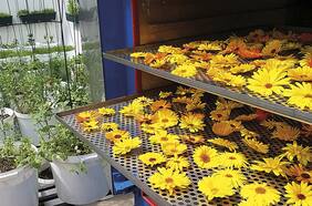 En la pausa está el gusto