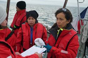 Investigan microplásticos presentes en las costas chilenas