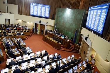 Johannes Kaiser el más hablador, Joaquín Lavín con menos intervenciones en sala y Carmen Hertz la más ausente: el ranking de la Cámara de Diputados