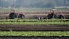 Propuestas para proteger la cadena alimentaria frente al cambio climático