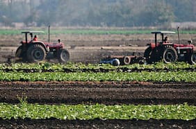 Propuestas para proteger la cadena alimentaria frente al cambio climático