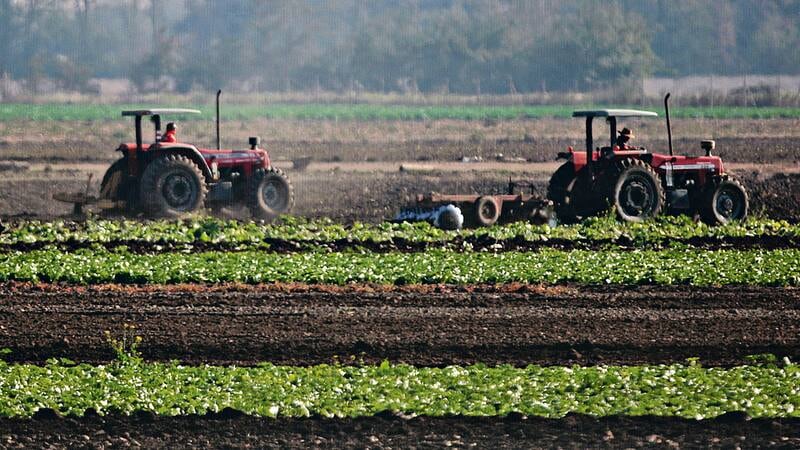 Propuestas para proteger la cadena alimentaria frente al cambio climático