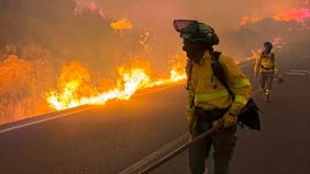 Incendio forestal en el sur de España deja al menos 12 muertos