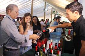 Vendimia de Isla de Maipo: una fiesta gratis para el finde largo y muy cerca de Santiago