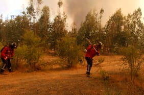 Sospechoso de ocasionar incendio en Lolol queda en prisión preventiva