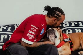 “Murió en los brazos de su papá”: qué enfermedad tenía Roscoe, el perro de Lewis Hamilton