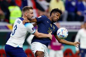 ¿Qué es el virus del camello, el patógeno que hace sufrir a Francia antes de la final frente a Argentina?