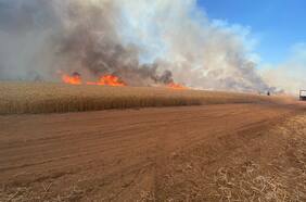 Llamadas, visitas en terreno y reprogramaciones: el trabajo de los bancos con los sectores afectados por los incendios