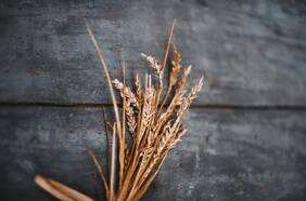 Cámara Baja despacha a ley proyecto de etiquetado de alimentos para celiacos