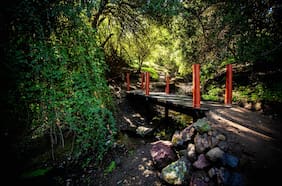 Con un festival outdoor y múltiples actividades: así será la inauguración de Parque Guay Guay