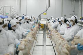 Menos costos en carnes y mayores precios en salmones: Agrosuper revierte pérdidas y gana US$ 93 millones en el primer semestre