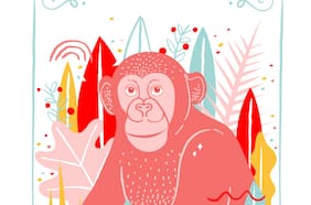 Horóscopo chino 2018 por Pedro Engel: el mono