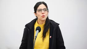 Ministra Toledo defiende cuestionada norma ambiental de la megarreforma tras requerimiento al TC