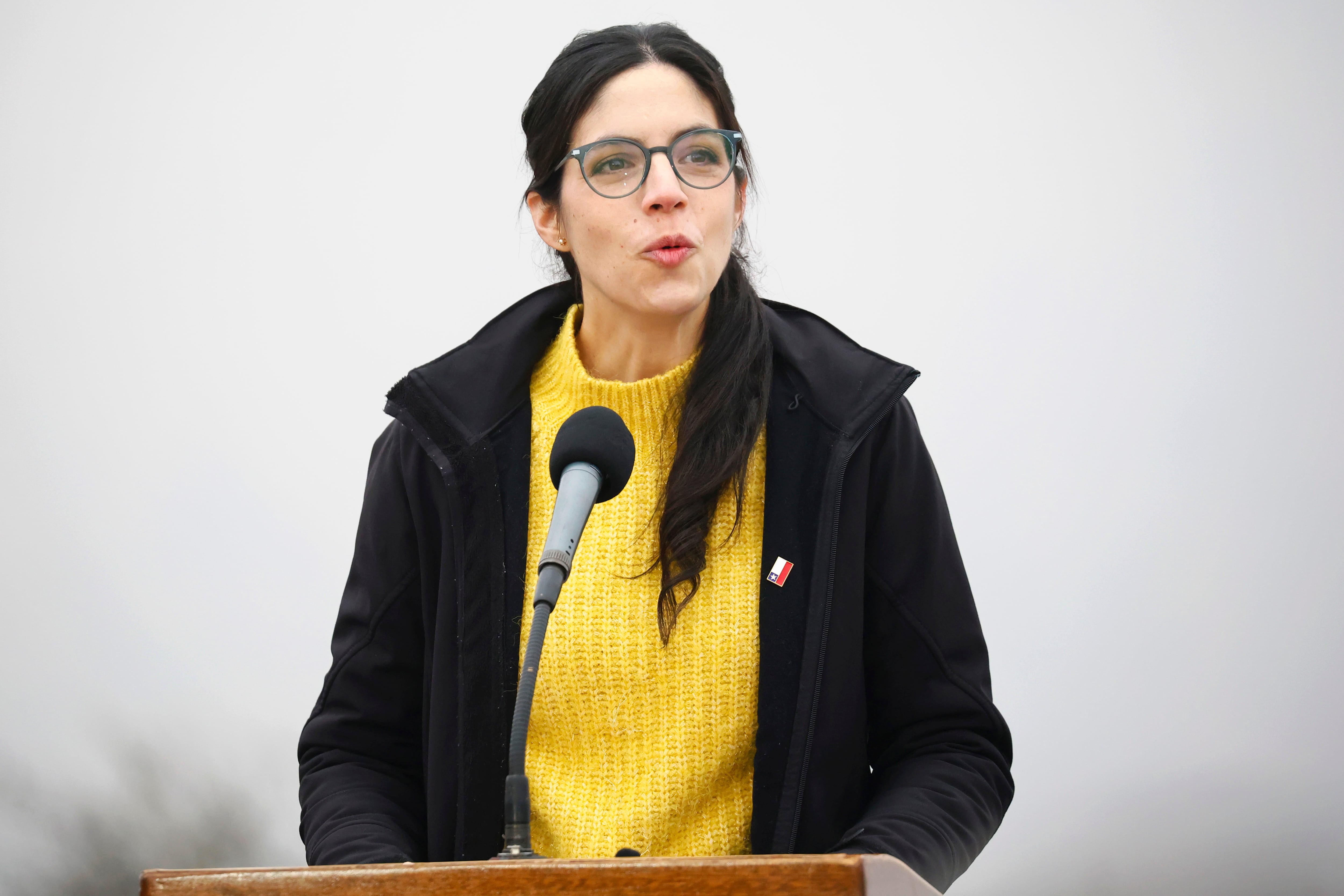 Ministra Toledo defiende cuestionada norma ambiental de la megarreforma tras requerimiento al TC
