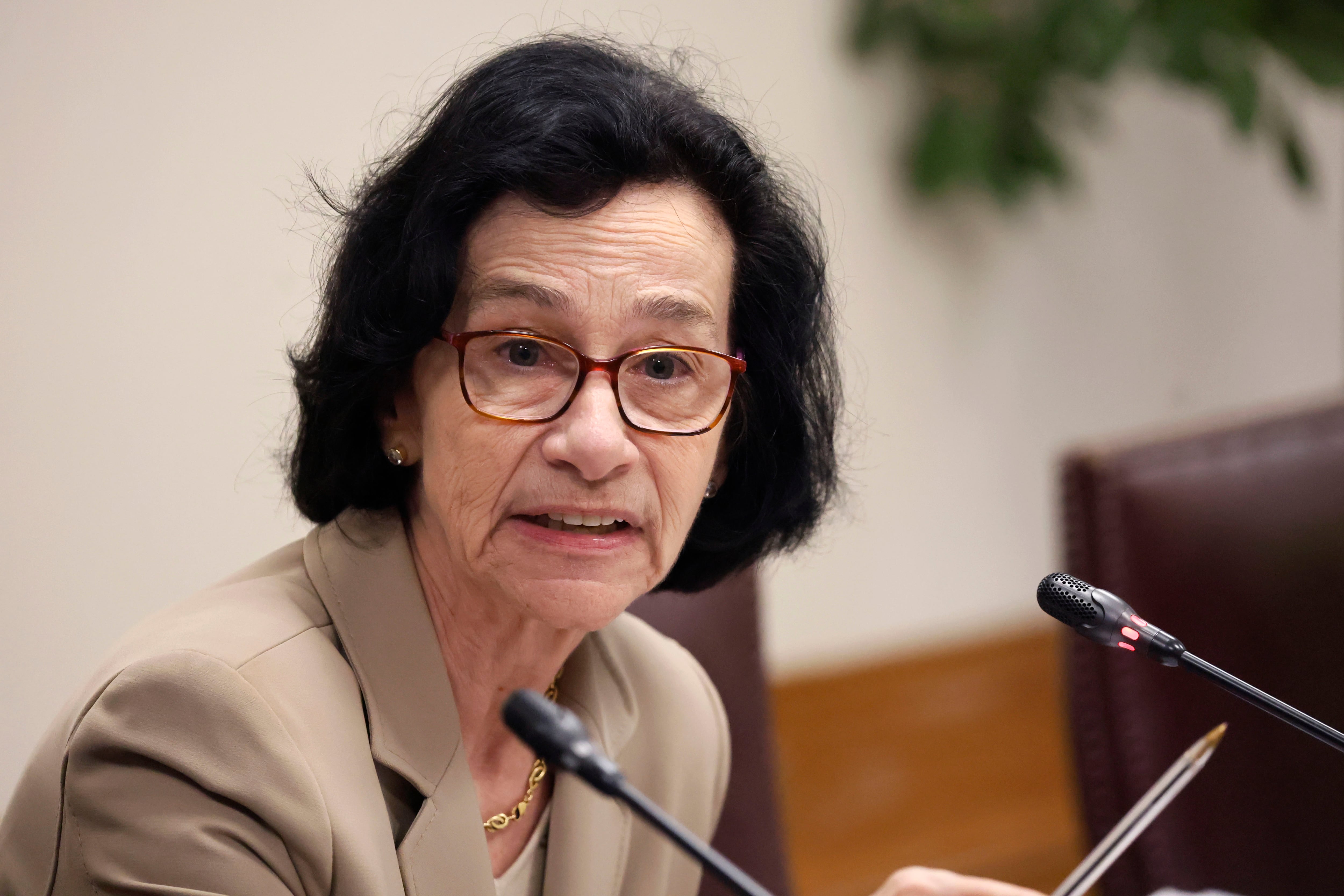 Alto desempleo en Chile: los factores que lo explican según la presidenta del Banco Central, Rosanna Costa