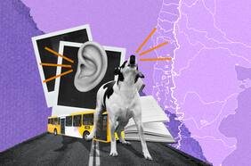 Volví a vivir a Chile: “Para mí lo correcto era estar aquí, volver a lo conocido después de la tempestad de estos últimos años”