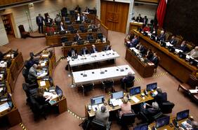 Columna de Yanira Zúñiga: Pánico moral