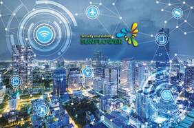 “Estafa piramidal”: quiénes son las víctimas de Sunflower detrás de la querella que pide congelar bienes de ejecutivos