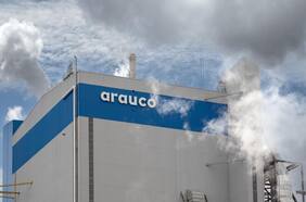 Empresas Copec registra pérdidas por negativo desempeño de forestal Arauco