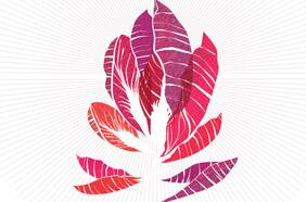 Colaboradores Mercado Paula Gourmet 2016