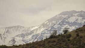 CONAF dona 100 árboles nativos para reforestar el Parque Natural San Carlos de Apoquindo