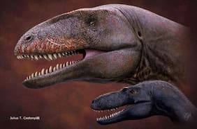 Científicos descubren un nuevo dinosaurio que antecedió al Tiranosaurio Rex en el trono de los grandes depredadores