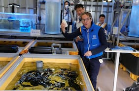 Jefe de OIEA satisfecho con planes de Japón para liberación de aguas residuales de Fukushima