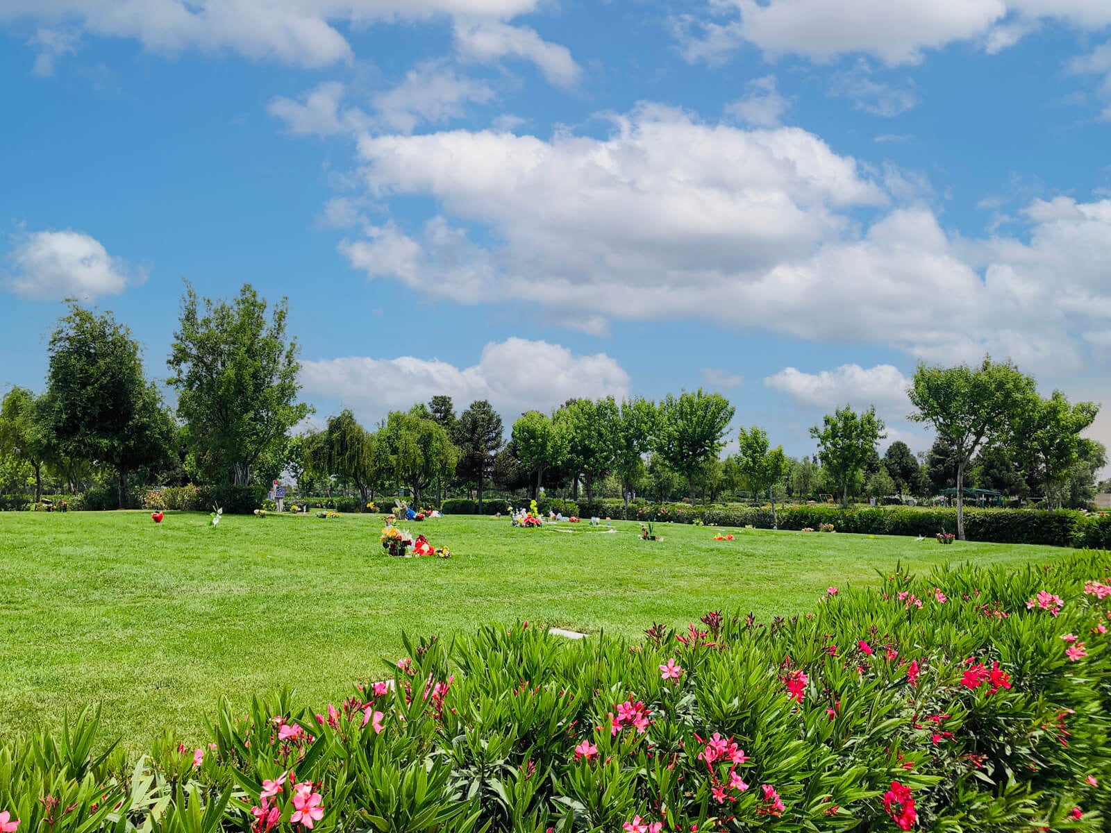 Actividades y horarios en los cementerios para conmemorar el Día del Padre